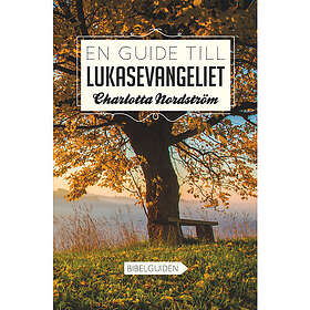 En guide till Lukasevangeliet (häftad)