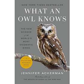 What an Owl Knows (pocket, eng)