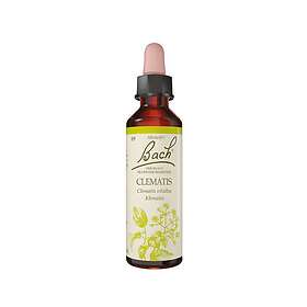 Bach Doppar Vanlig Skogsvinda 10ml