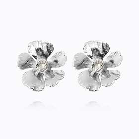 Caroline Svedbom Anemone Örhängen (Rhodium)
