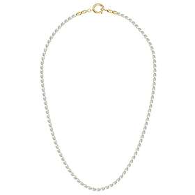 Edblad Cabo Pearl Halsband Guld (126863)