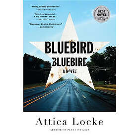 Bluebird, Bluebird