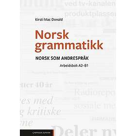 Norsk grammatikk