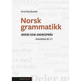 Norsk grammatikk