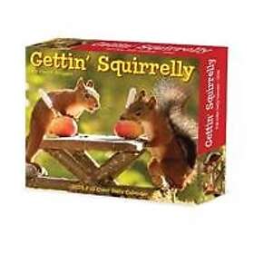 Gettin' Squirrelly 2025 6,2 X 5,4 Box Calendar