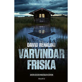 Vårvindar friska