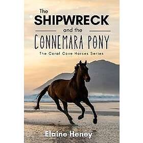 The Shipwreck and the Connemara Pony The Coral Cove Horses Series