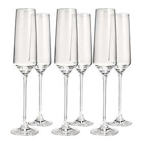 Anders Petter Celebration champagneglas 19 cl 6-pack