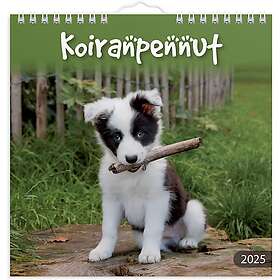 Seinäkalenteri 2025 Koiranpennut Burde