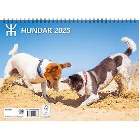 Väggkalender Hundar 2025 Almanacksförlaget