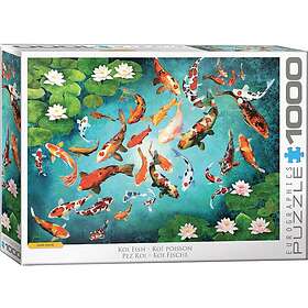 Eurographics : Koi Fish (1000)