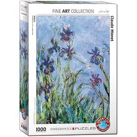 Eurographics : Monet Irises (1000)