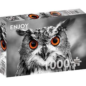 Enjoy : Curious Owl (1000)