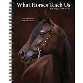 What Horses Teach Us 2025 6,5 X 8,5 Engagement Calendar