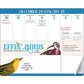 Effin' Birds 2025 Weekly Desk Pad Calendar