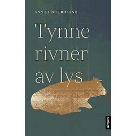 Tynne rivner av lys