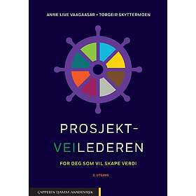 Prosjektveilederen