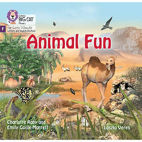 Animal Fun Häftad