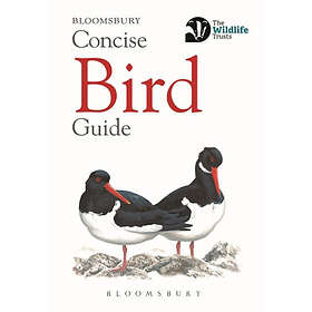 Concise Bird Guide (häftad, eng)