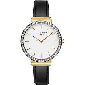 Pierre Cardin PC902352F02 Argentine