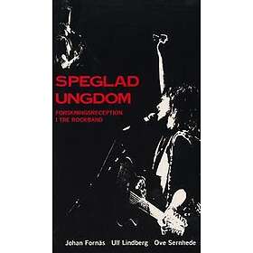 Speglad ungdom : forskningsreception i tre rockband