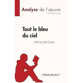 Tout le bleu du ciel de Mélissa da Costa (Analyse de l'oeuvre)