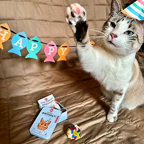 Kikkerland Happy Birthday Cat Tin