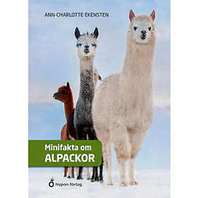 Minifakta om alpackor