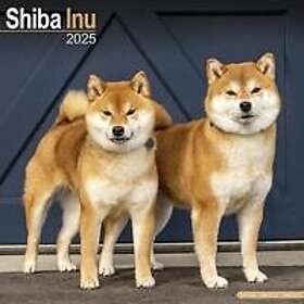 Square Shiba Inu Calendar 2025 Dog Breed Wall Calendar 16 Month