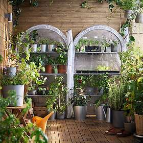 IKEA ASPAREN växthus 95x32x162 cm