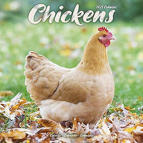 Chickens Calendar 2025 Square Farm Animals & Birds Wall Calendar 16 Month