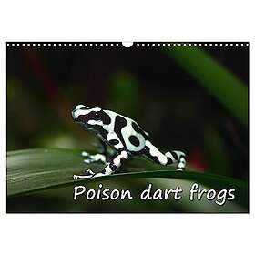 Poison dart frogs UK-Version Birthday Calendar (Wall Calendar 2025 DIN A3 landscape), CALVENDO 12 Month Wall Calendar