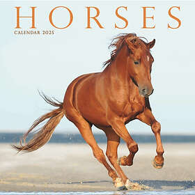 Horses Square Mini Calendar 2025