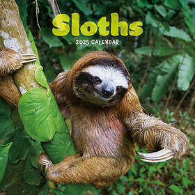 Sloths Square Mini Calendar 2025