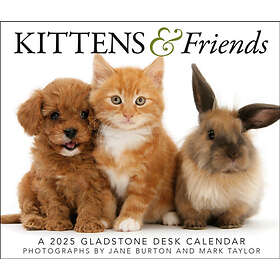 Kittens & Friends Box Calendar 2025