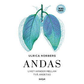 Andas : livet händer mellan två andetag (bok, kartonnage) (Skadad)