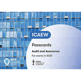 ICAEW Audit and Assurance