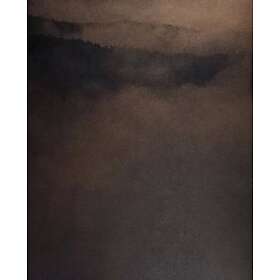 Matthew Gintempo Jasper