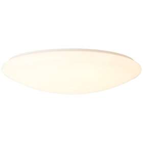 Brilliant Fakir Starry