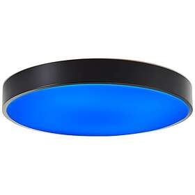 Brilliant Vadin 49cm