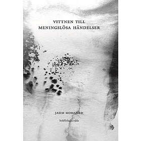 Vittnen till meningslösa händelser (bok, danskt band)