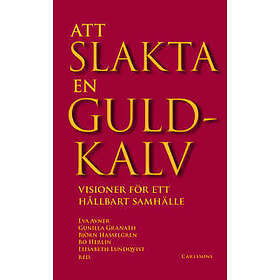 Att slakta en guldkalv : visioner för ett hållbart samhälle