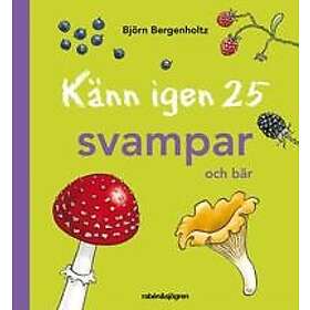 Känn igen 25 svampar och bär