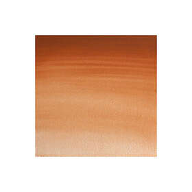 Winsor & Newton Professional akvarellfärg 5ml Magnesium Brown 381