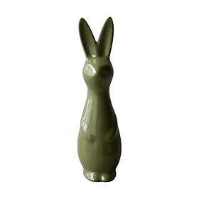 DBKD Swedish rabbit large