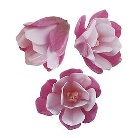 Dekora Rosa/Rosa Magnolia 6 st