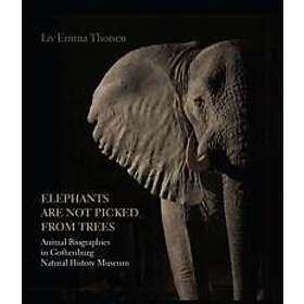 Elephants Are Not Picked from Trees