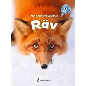 Faktaraketen Räv