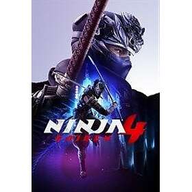 Ninja Gaiden 4 (PC)
