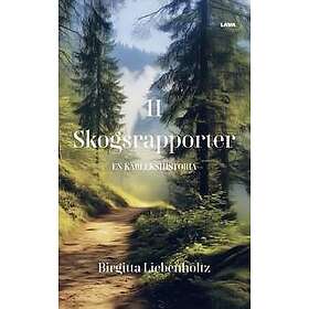 En kärlekshistoria